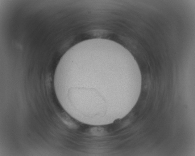 X0000081390279200702090046