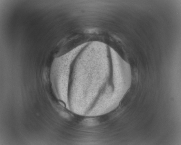 X0000081390280200702090046