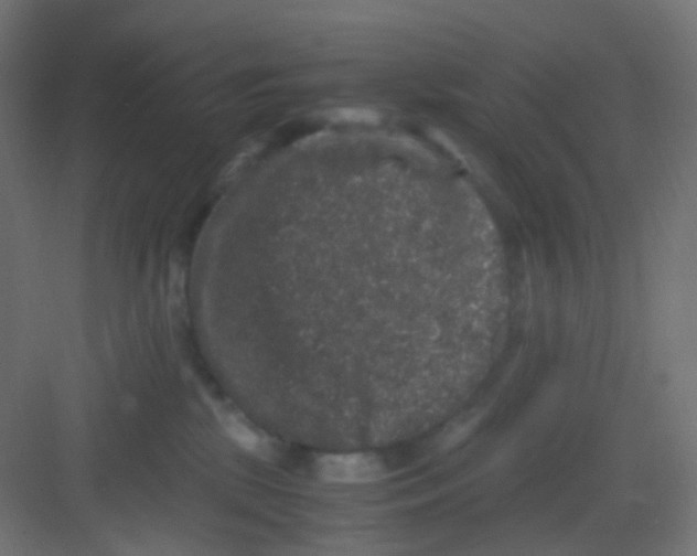 X0000081390281200702090046