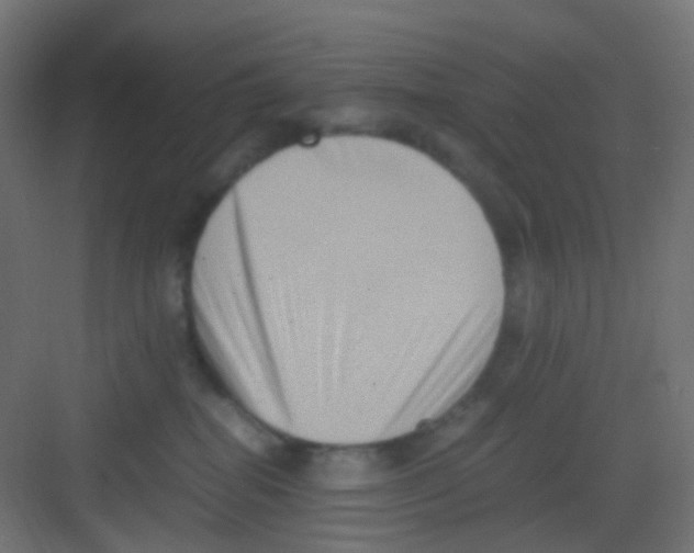 X0000081390282200702090046