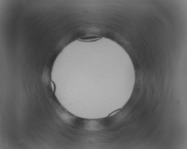 X0000081390287200702090046