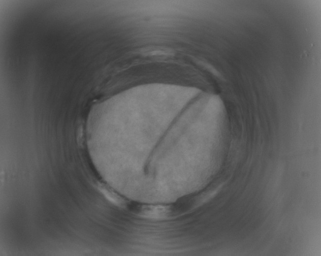 X0000081390288200702090046