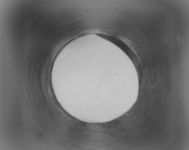 X0000081390289200702090045