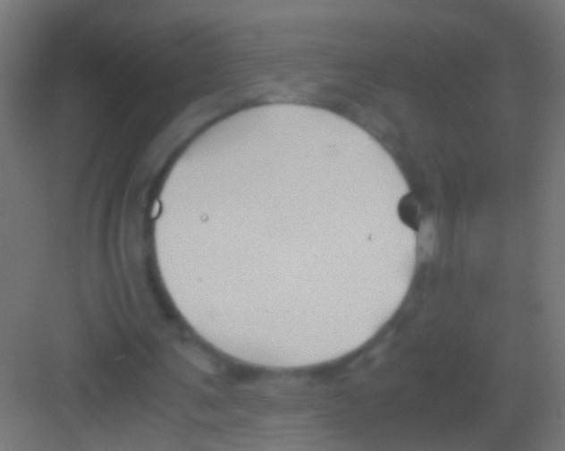 X0000081390291200702090045