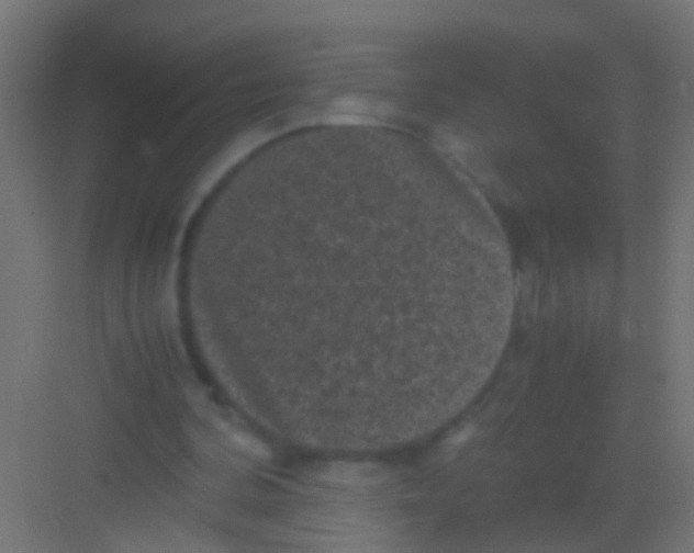 X0000081390292200702090045