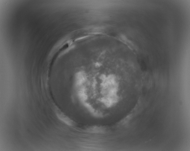 X0000081390293200702090045