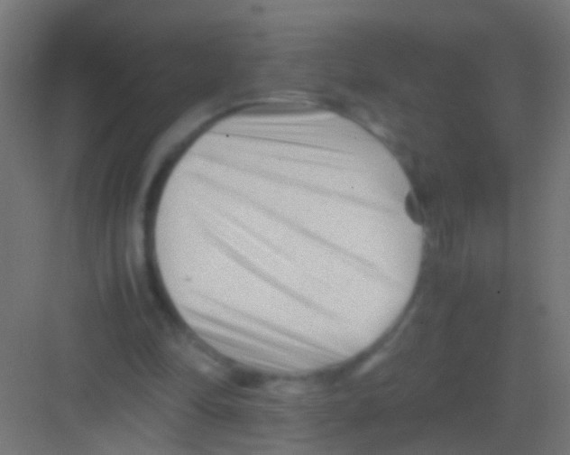 X0000081390294200702090045