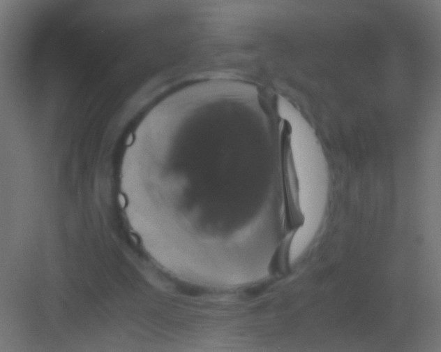 X0000081390295200702090045