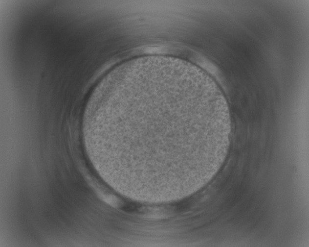 X0000081390297200702090045