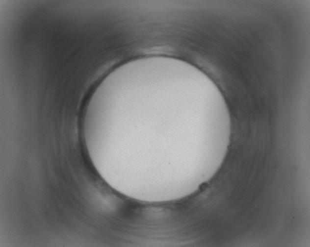 X0000081390298200702090045