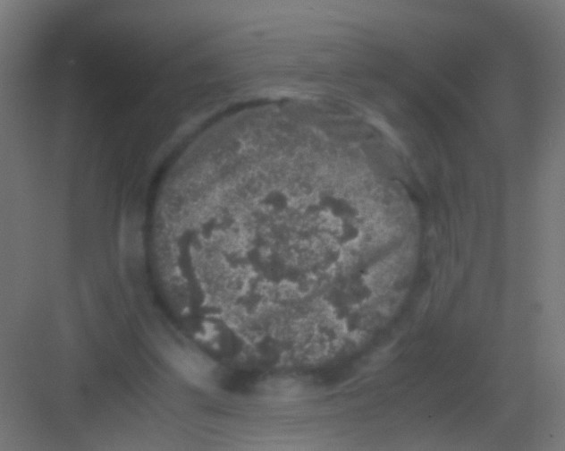 X0000081390299200702090045