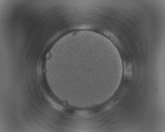 X0000081390300200702090045