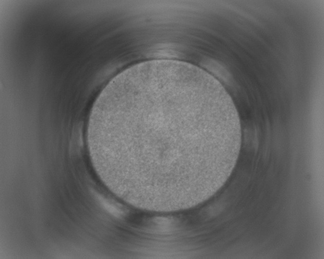 X0000081390302200702090045