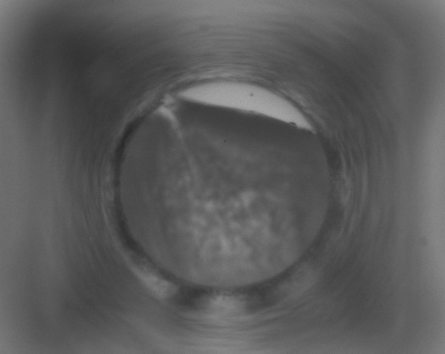 X0000081390303200702090045