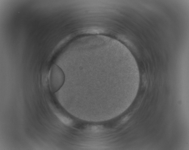 X0000081390304200702090045