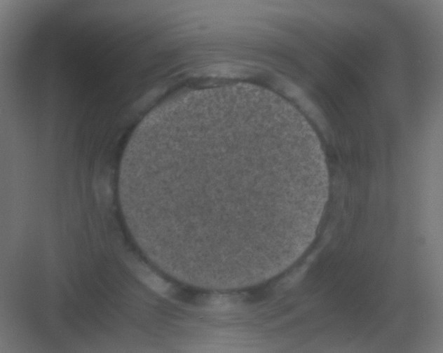 X0000081390305200702090045