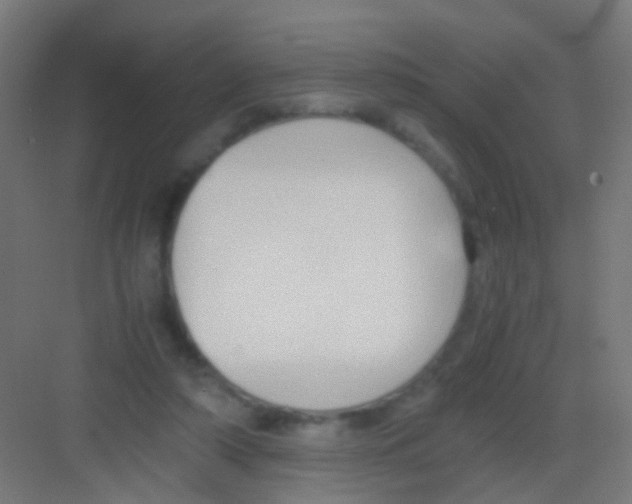 X0000081390306200702090045