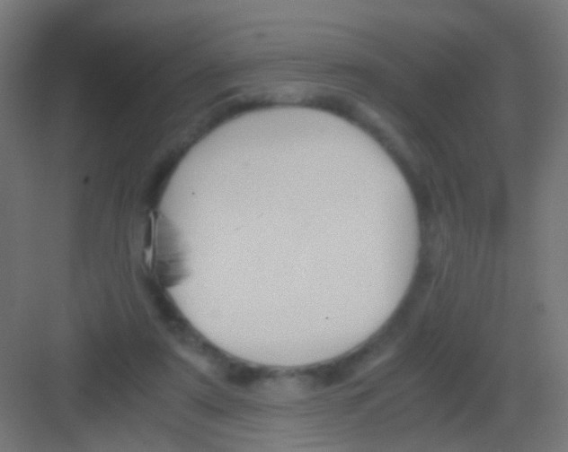 X0000081390307200702090045