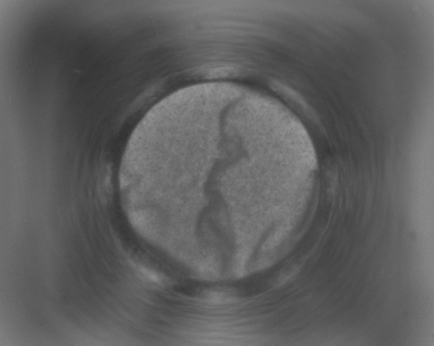 X0000081390308200702090045