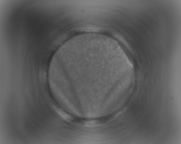 X0000081390309200702090045