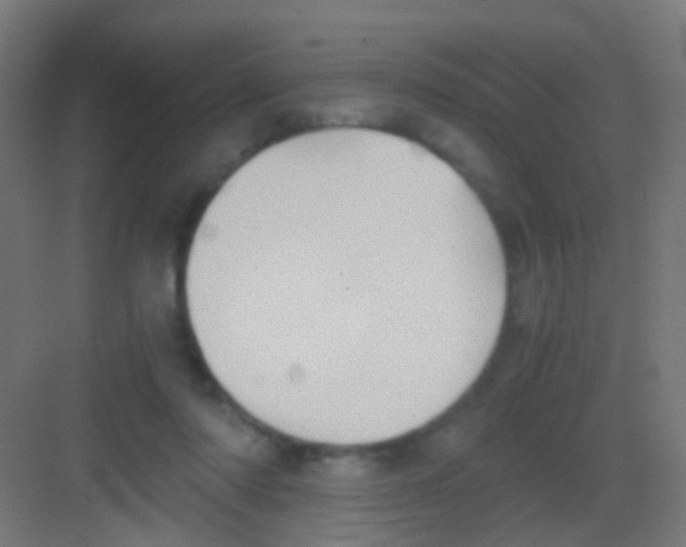 X0000081390310200702090045