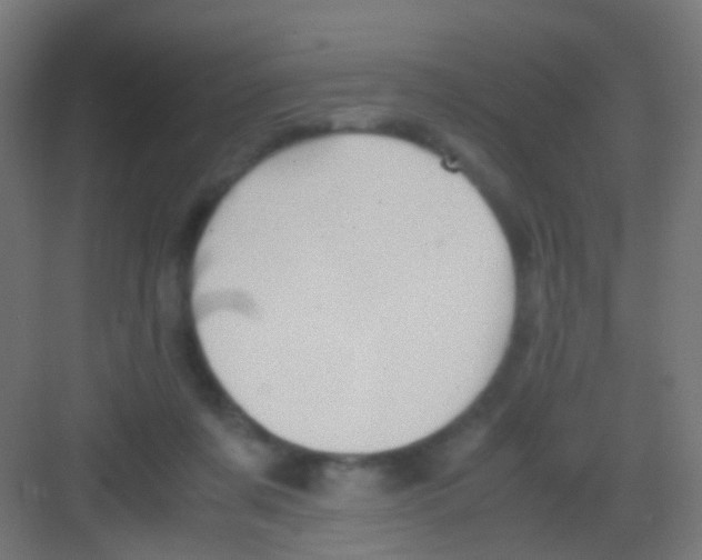 X0000081390311200702090044