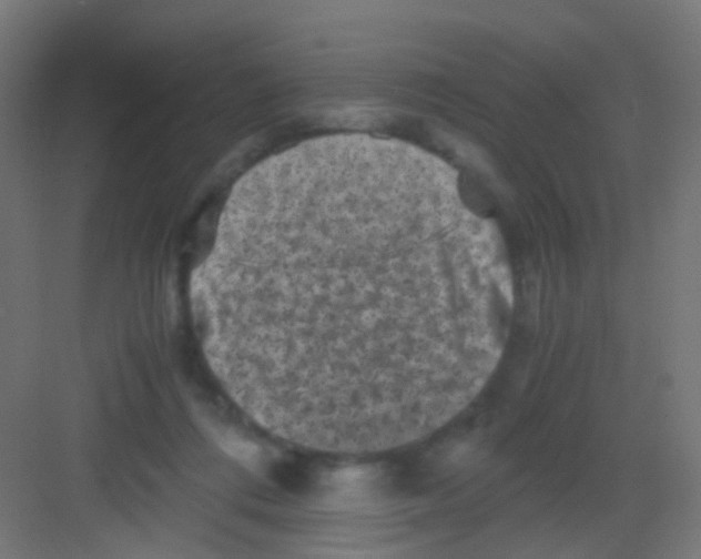 X0000081390312200702090044