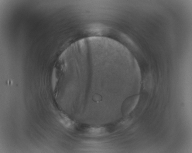 X0000081390314200702090044