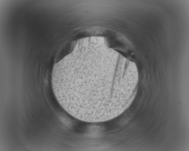 X0000081390315200702090044