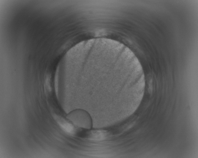 X0000081390316200702090044