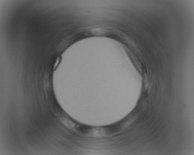 X0000081390317200702090044