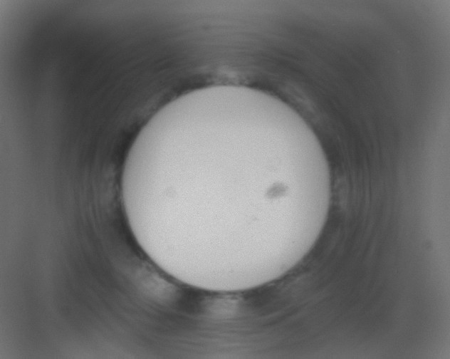 X0000081390318200702090044