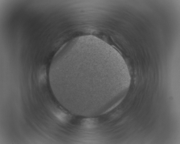 X0000081390320200702090044