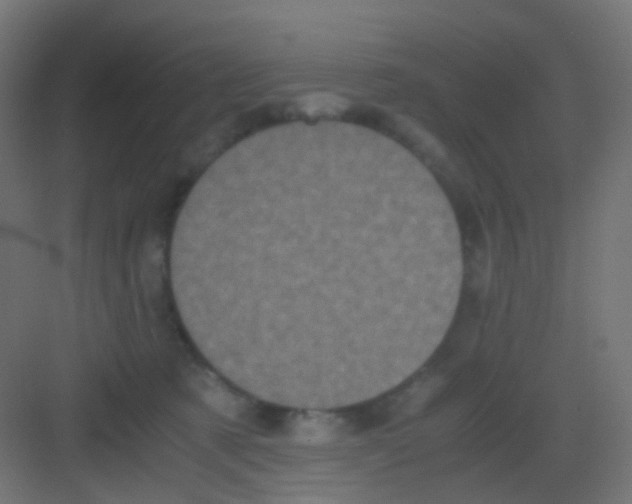 X0000081390321200702090044