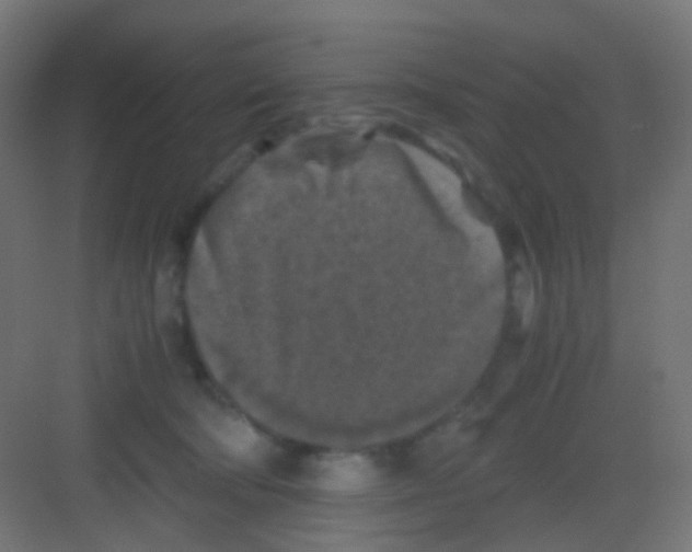 X0000081390322200702090044