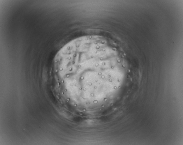 X0000081390323200702090044