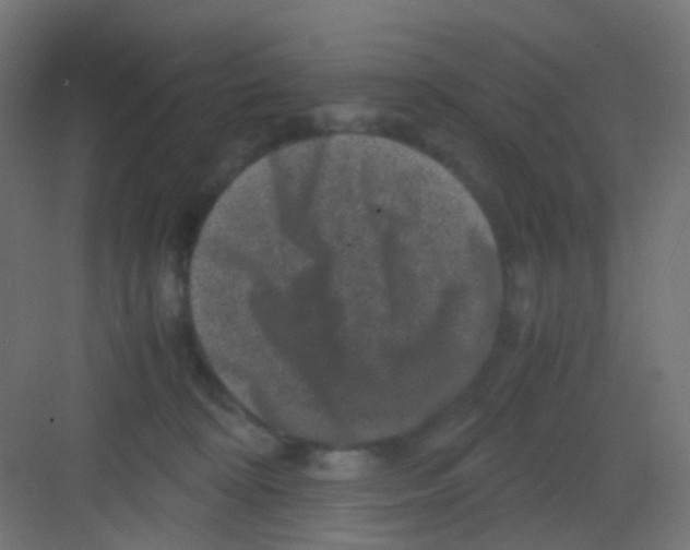 X0000081390324200702090044