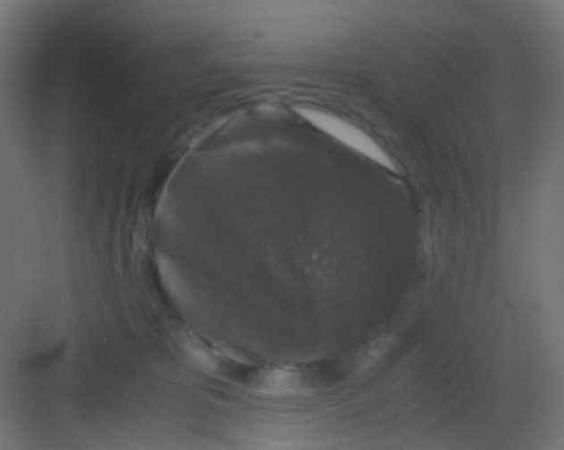 X0000081390325200702090044