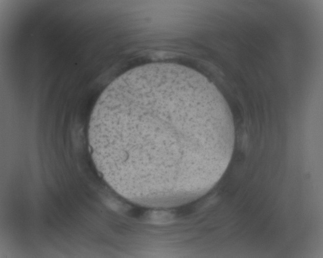 X0000081390327200702090044