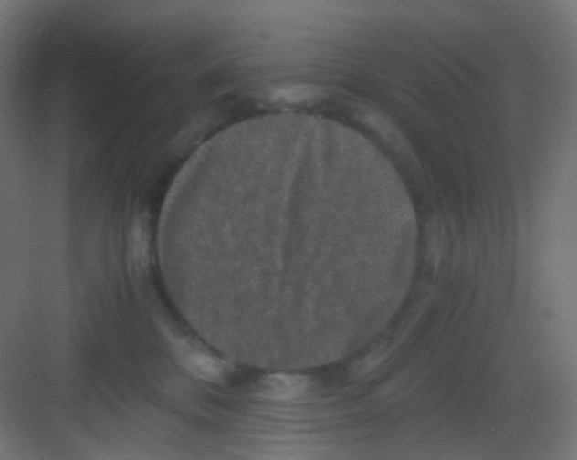 X0000081390328200702090044