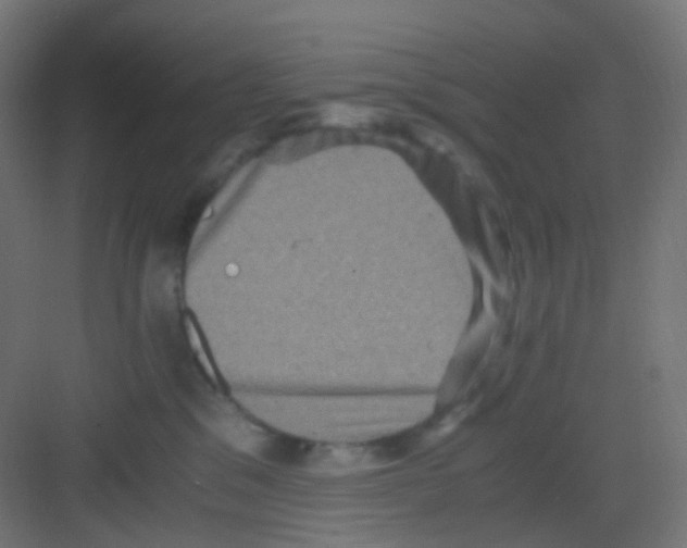 X0000081390329200702090044