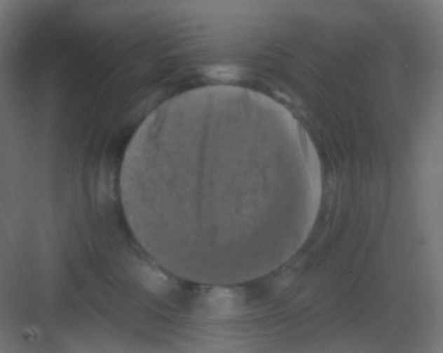 X0000081390330200702090044