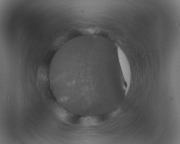 X0000081390331200702090044