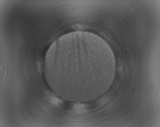 X0000081390332200702090044