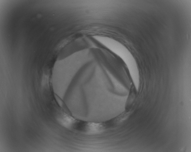 X0000081390333200702090044