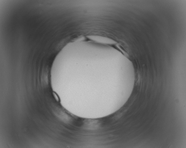 X0000081390334200702090044