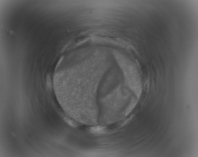 X0000081390335200702090044