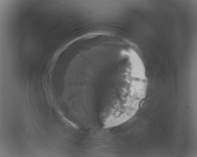 X0000081390337200702090043