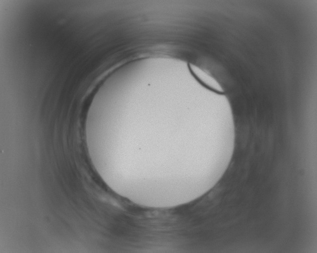 X0000081390338200702090043