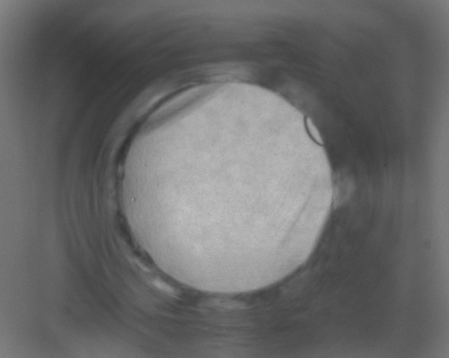 X0000081390339200702090043